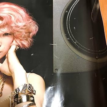 Amazon.co.jp: 椎名林檎 ポスター 椎名林檎 音楽家のカルテ A2